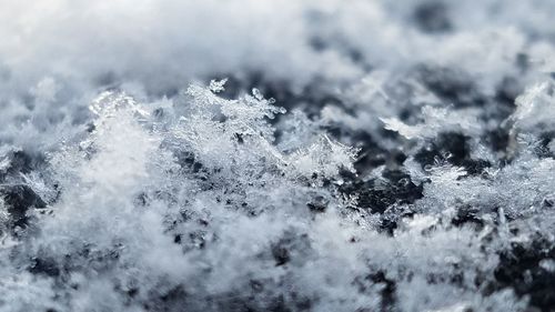 Close-up of snowflakes on snow