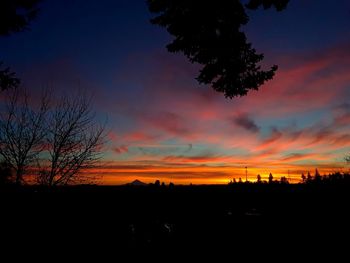 Silhouette trees against sky at sunset