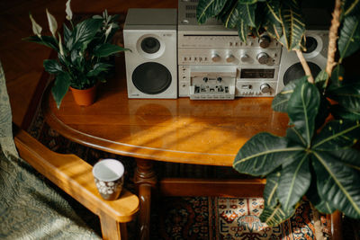 Close-up of potted plant on table