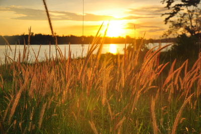 Scenic view of sunset over lake