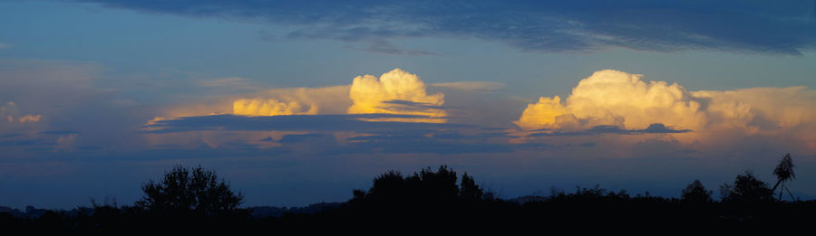 Low angle view of silhouette trees against sky during sunset