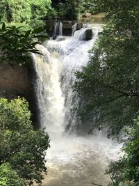 Scenic view of waterfall in forest