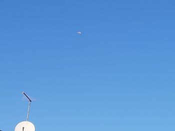 Low angle view of bird flying against clear blue sky