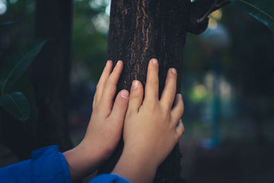 Cropped image of hands touching tree trunk