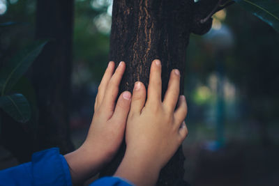 Low section of woman feet on tree