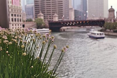 View of river with buildings in background