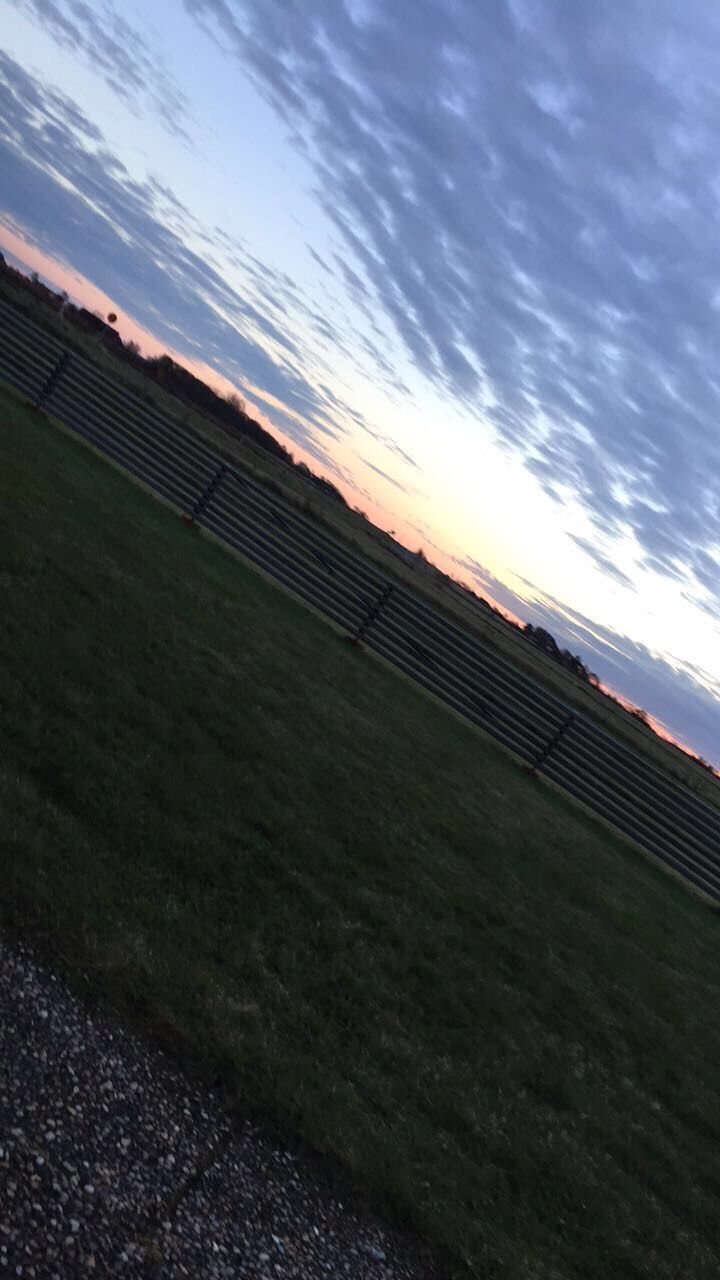 FIELD AGAINST SKY