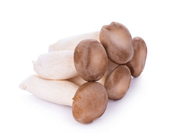 Close-up of eggs against white background