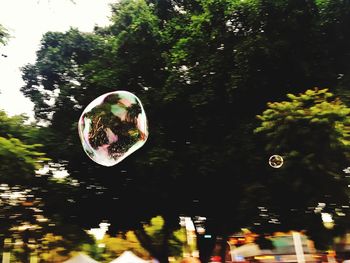 Close-up of bubbles in park