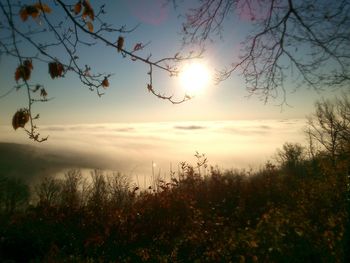 Scenic view of landscape against sky at sunset