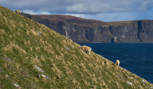 Scenic view of sea and mountains against sky