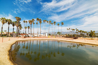 Reflection of palm trees in swimming pool