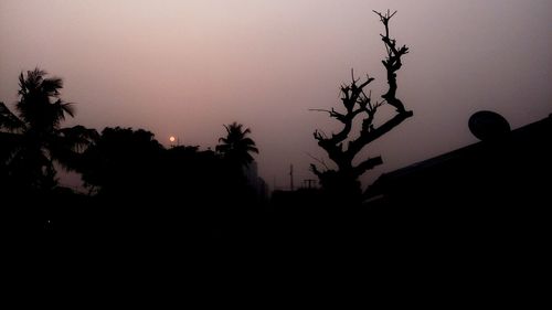 Low angle view of silhouette trees against sky