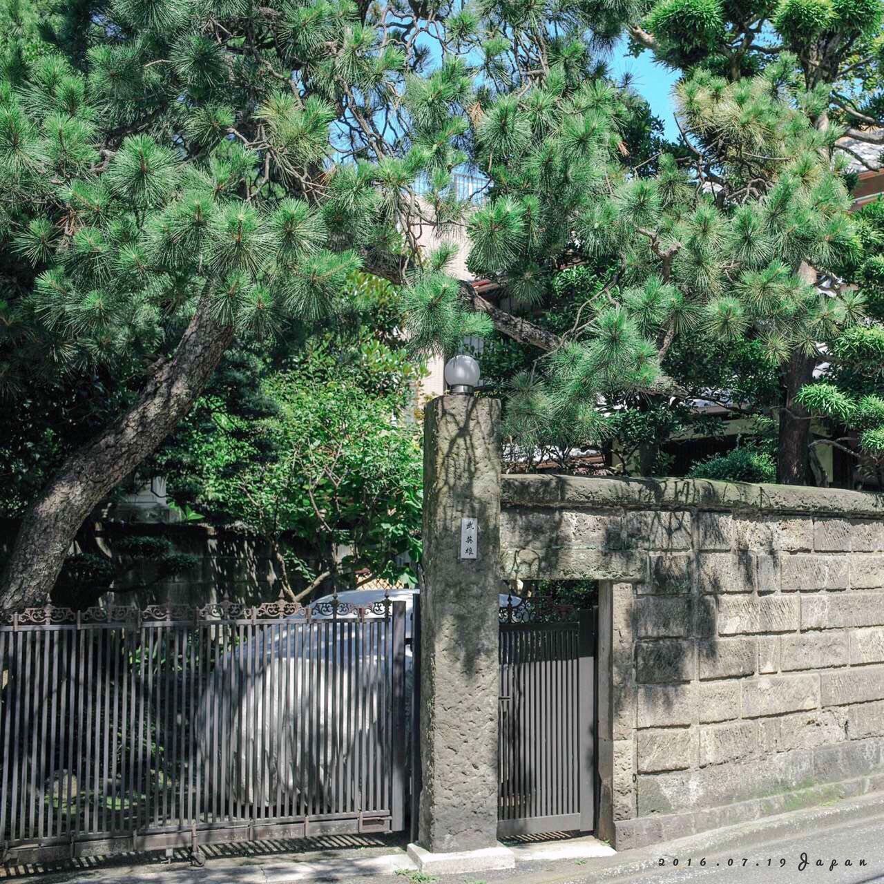 tree, built structure, architecture, gate, old, growth, closed, green color, day, outdoors, plant, no people, nature, deterioration