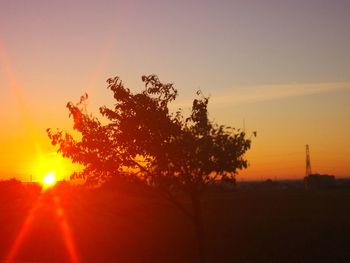 Silhouette tree on field against sky at sunset