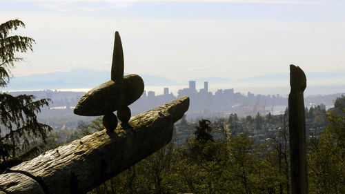 View of birds in city against sky