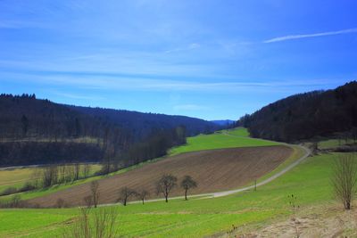 Scenic view of field against sky