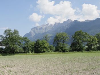 Scenic view of field against sky