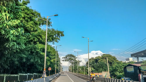 Road amidst plants and trees against sky