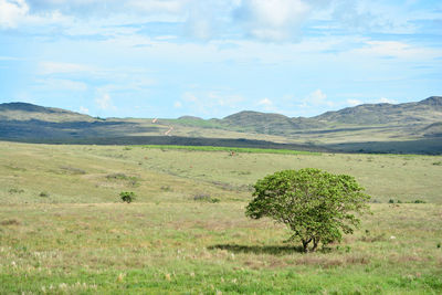 Scenic view of land against sky