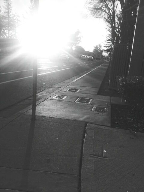 transportation, sun, mode of transport, tree, car, sunbeam, sunlight, road, land vehicle, the way forward, lens flare, street, road marking, diminishing perspective, vanishing point, travel, sunny, on the move, city, outdoors