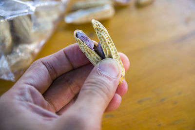 Close-up of hand holding leaf