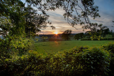 Scenic view of landscape against sky during sunset