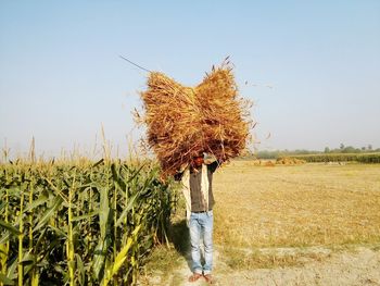 Farmer carrying bundle of crops on field against clear sky