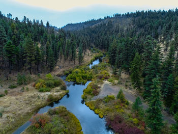 Scenic view of river amidst trees against sky