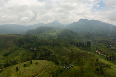 Aerial view of tea plantations in sri lanka. mountain landscape with tea estate. maskeliya.