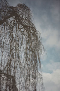 Low angle view of bare trees against cloudy sky