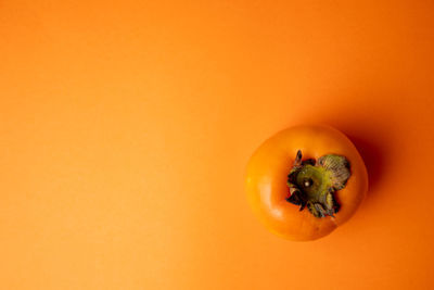 Close-up of orange fruit