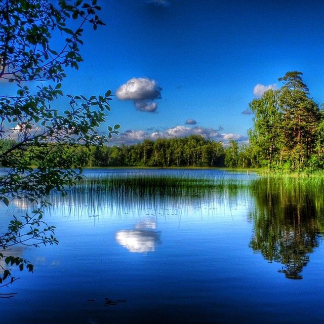 reflection, water, tree, lake, tranquil scene, tranquility, waterfront, blue, scenics, sky, beauty in nature, nature, idyllic, standing water, calm, growth, cloud, no people, outdoors, countryside