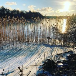 Scenic view of lake against sky during winter