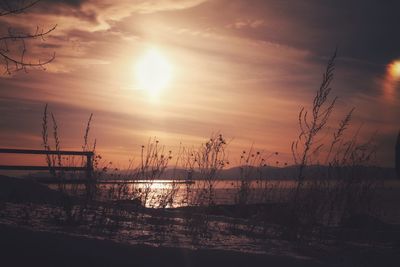 Silhouette of sailboats in sea during sunset