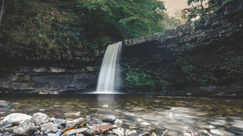 Scenic view of waterfall in forest
