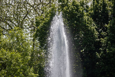 Water splashing in fountain against trees in forest