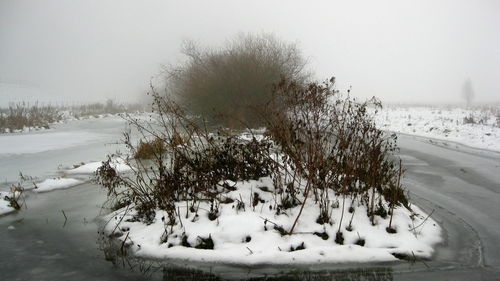 Close-up of snow on field against sky