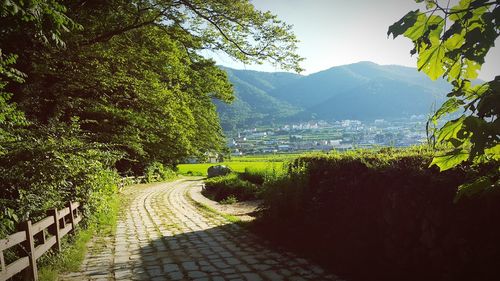 Scenic view of trees and mountains against sky