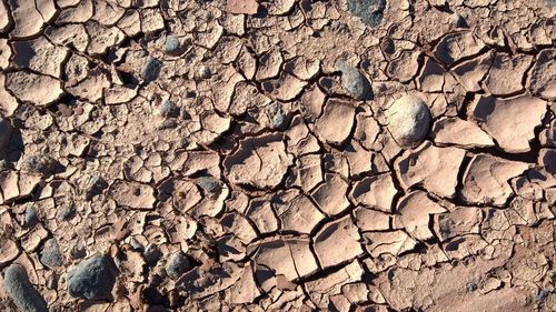 Full frame shot of ground