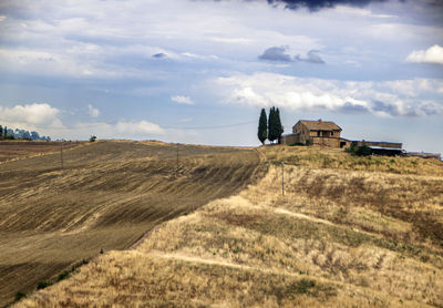 Scenic view of agricultural field against sky