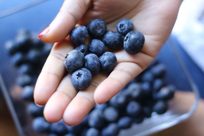 Cropped image of hand holding fruits blackberries 