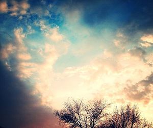 Low angle view of trees against cloudy sky