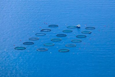 High angle view of blue floating on sea