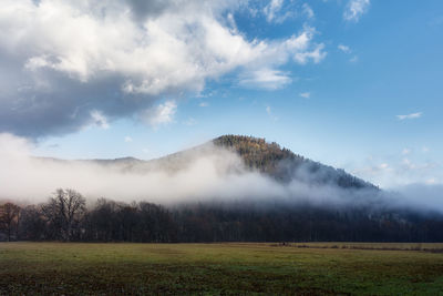 Scenic view of field against sky