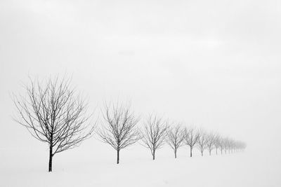 Bare tree on snow covered field against sky