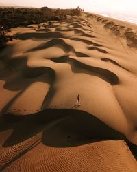 Scenic view of sand dunes in desert
