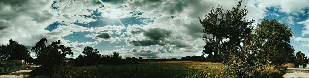 Trees on field against cloudy sky