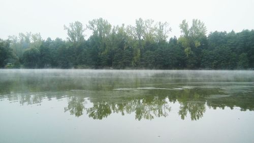 Reflection of trees in calm lake