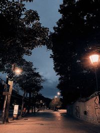 Street amidst trees against sky in city at night